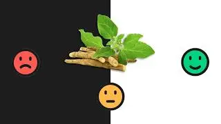 Should You Take Ashwagandha? What the Science Actually Says