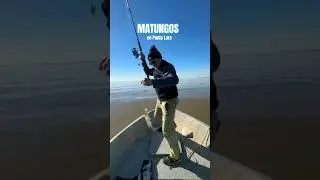 MATUNGOS en Punta Lara #pesca #pescadepejerrey #pejerrey #fishing