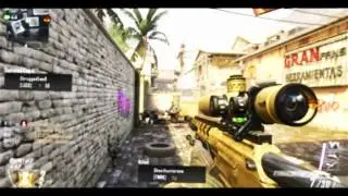 Introducing Vatican Flyy