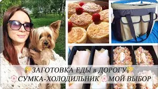 🥣ЗАГОТОВКА ЕДЫ в ДОРОГУ 💁‍♀️ КАК Я ВЫБИРАЛА СУМКУ-ХОЛОДИЛЬНИК 👒 ГОТОВИМСЯ в АВТОПУТЕШЕСТВИЕ