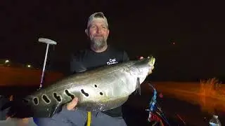 Bowfishing the elusive CLOWN KNIFE FISH in Miami Florida