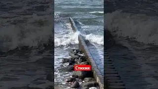 Стихия