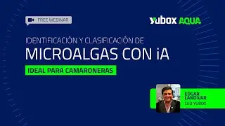 Identificación y Clasificación de Algas con IA