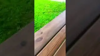 На даче! 