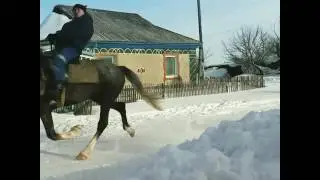 Кок жорга.Панапарт Переменовка ауыл округы