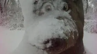 ЗИМНЕЕ ЧУДО   !!!