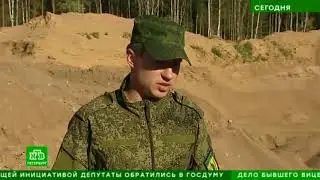 Поисковики заявили об уничтожении братских могил у песчаного карьера в Ленобласти.