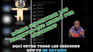 😮✅✅ Donde encontrar los archivos que mando por WhatsApp 💵✅✅