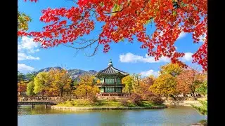 INTERESTING FACTS ABOUT SOUTH KOREA