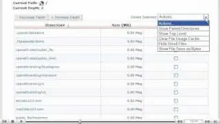 Using the Disk Usage Viewer in cpanel