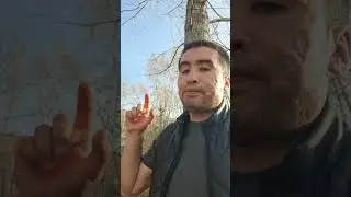 У меня нету денег ...