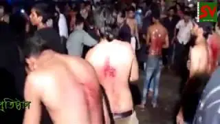 Hussaini Dalan । হোসেনী দালান part- 2