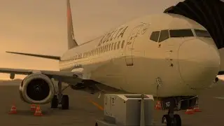 Flying the PMDG 737 in MSFS 2020 on vatsim.
