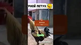 13 июля 2024 г.