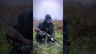 Stalker Корешей завалили 