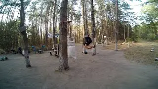 Training Freerunning
