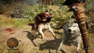 Прохождение игры Far Cry Primal - #72 Помощь винджа: охота на зверя #6.