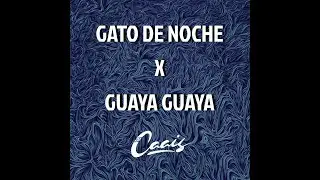 GATO DE NOCHE X GUAYA GUAYA (CAAIS MASHUP Vol. 6)