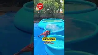 The best inflatable pools!!!
