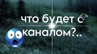 Куда я пропала? / то с каналом?/коты воители/Белолапая WC
