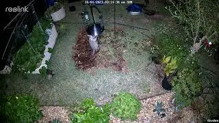 that's how the racoon was getting gthe feeder