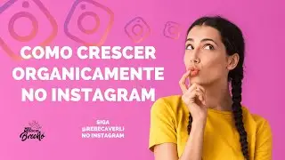 Ferramentas gratuitas para crescer no Instagram do seu brechó | Rebeca Verli