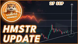 SHOULD YOU BUY RIGHT NOW?🚨 (Hamster Kombat Price Prediction 2024)