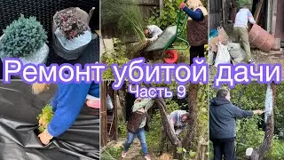 Ремонт убитой дачи. Часть 9 | Огород | Спанбонд | Смородина | Обрезка деревьев | Дача | Пересадка