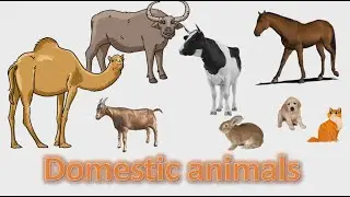 DOMESTIC ANIMALS NAME | Learn Domestic Animals Sounds and Names | Easy English Learning Process