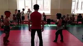 Гроза и король болевых в ММА. Мовладиев Иса