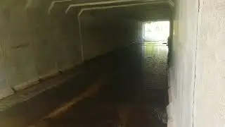 Тюменская область, село Ярково