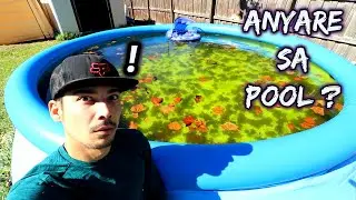BUMAHA DAHIL SA SWIMMING POOL