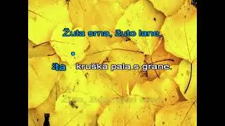 Žuta pjesma