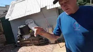 Наши бойные Голуби, Володя в гостях.