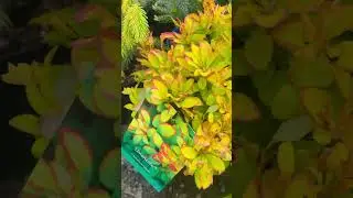 Больше советов у меня в телеграмм ,( ссылка и адрес в комментариях)