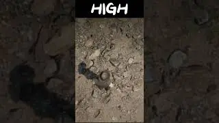rdr2 texture low vs ultra 