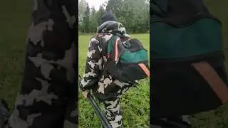 охота на кабана на овсах