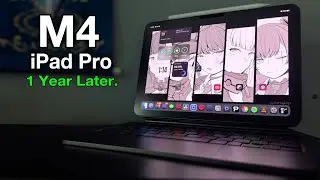 1 year with the M4 11