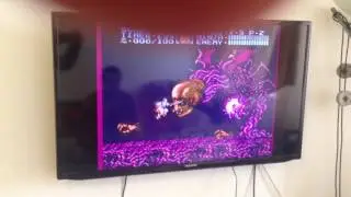 Ninja Gaiden 2 как это было на последнем боссе