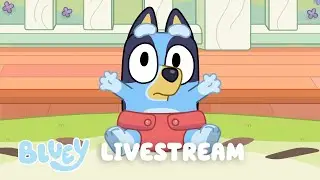 🔴LIVE: BLUEY FULL EPISODES LIVESTREAM
