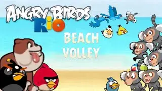 Angry Birds Rio | Beach Volley - All Levels
