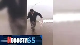 Сахалинцы приступили к ловле крабов в селе Ильинское Тамаринского района.