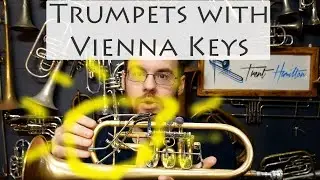 What are Vienna Keys (Wiener Klappen)?