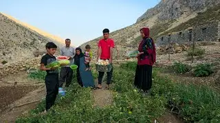 IRAN nomadic life | daily routine village life of Iran | Nomadic lifestyle of Iran