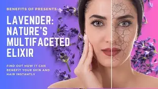 Lavender: Nature's Multifaceted Elixir - Unlocking Its Wide Range of Benefits