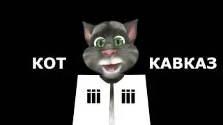 Кот Кавказ   Три в одном 24