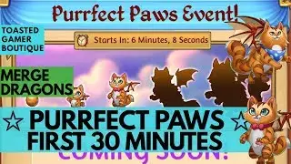 Merge Dragons Purrfect Paws Event • First 30 Minutes • Tips And Tricks Guide ☆☆☆