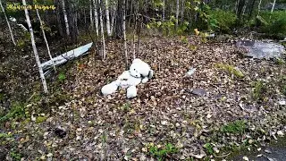 Заброшки в лесу-2 (немного грибов и окрестностей).