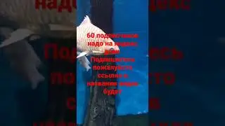 https://dzen.ru/id/63762d901b6f3c7499f26696 пожалуйсто подпишитесь на яндекс дзен надо всего 60 подп