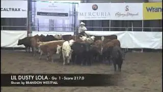 2011 STAMPEDE CUTTING - YOUTH - 1st go